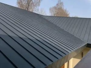Metal Roof Panels